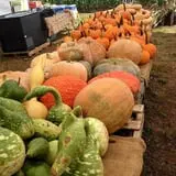Doe Run Farm photo