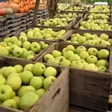 Doe Run Farm photo