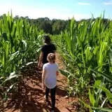 Doe Run Farm photo