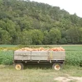Doe Run Farm photo