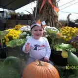 Doe Run Farm photo