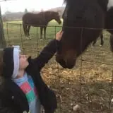 Doe Run Farm photo