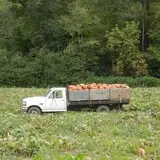 Doe Run Farm photo