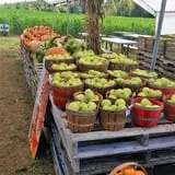 Doe Run Farm photo