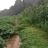 Doe Run Farm photo