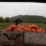 Doe Run Farm photo