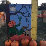 St. Luke's United Methodist Church Pumpkin Patch photo