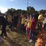St. Luke's United Methodist Church Pumpkin Patch photo