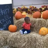St. Luke's United Methodist Church Pumpkin Patch photo