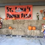 St. Luke's United Methodist Church Pumpkin Patch photo