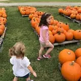 St. Luke's United Methodist Church Pumpkin Patch photo