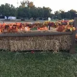 St. Luke's United Methodist Church Pumpkin Patch photo