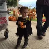 St. Luke's United Methodist Church Pumpkin Patch photo