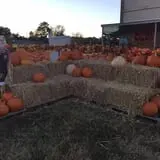 St. Luke's United Methodist Church Pumpkin Patch photo