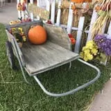St. Luke's United Methodist Church Pumpkin Patch photo