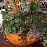 St. Luke's United Methodist Church Pumpkin Patch photo