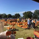 St. Luke's United Methodist Church Pumpkin Patch photo