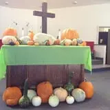 St. Luke's United Methodist Church Pumpkin Patch photo