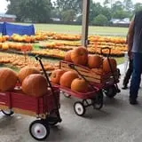 St. Luke's United Methodist Church Pumpkin Patch photo