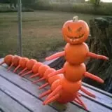 St. Luke's United Methodist Church Pumpkin Patch photo