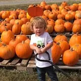 St. Luke's United Methodist Church Pumpkin Patch photo