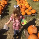 St. Luke's United Methodist Church Pumpkin Patch photo