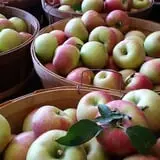 Fischer Farm photo