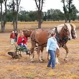 Fischer Farm photo
