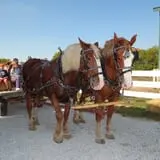 Fischer Farm photo