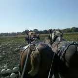 Fischer Farm photo