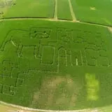 Fischer Farm photo