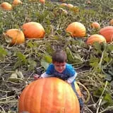 Fischer Farm photo