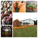 Fischer Farm photo