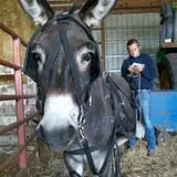 Fischer Farm photo
