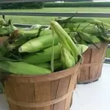 Fischer Farm photo