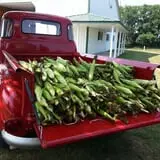 Fischer Farm photo