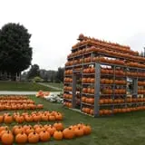 Fischer Farm photo