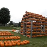 Fischer Farm photo