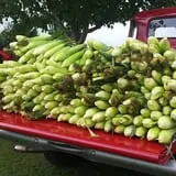 Fischer Farm photo