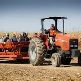 Carolyn's Pumpkin Patch photo