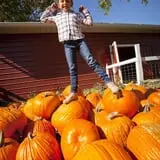 Carolyn's Pumpkin Patch