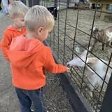 Carolyn's Pumpkin Patch photo