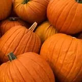 Carolyn's Pumpkin Patch
