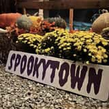 Spooky Town photo