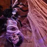 The Werehouse