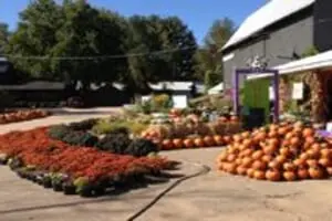 Turners Fresh Market & Greenhouses