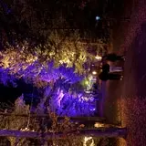 Demon Acres Scream Park photo