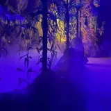 Demon Acres Scream Park photo