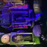Shurley House Of The Dead photo