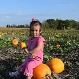 Tom and Zach's Pumpkin Patch photo